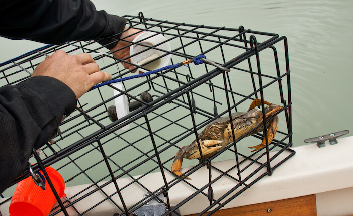 5 Essential Tips: How Do Crab Traps Work – A Comprehensive Guide