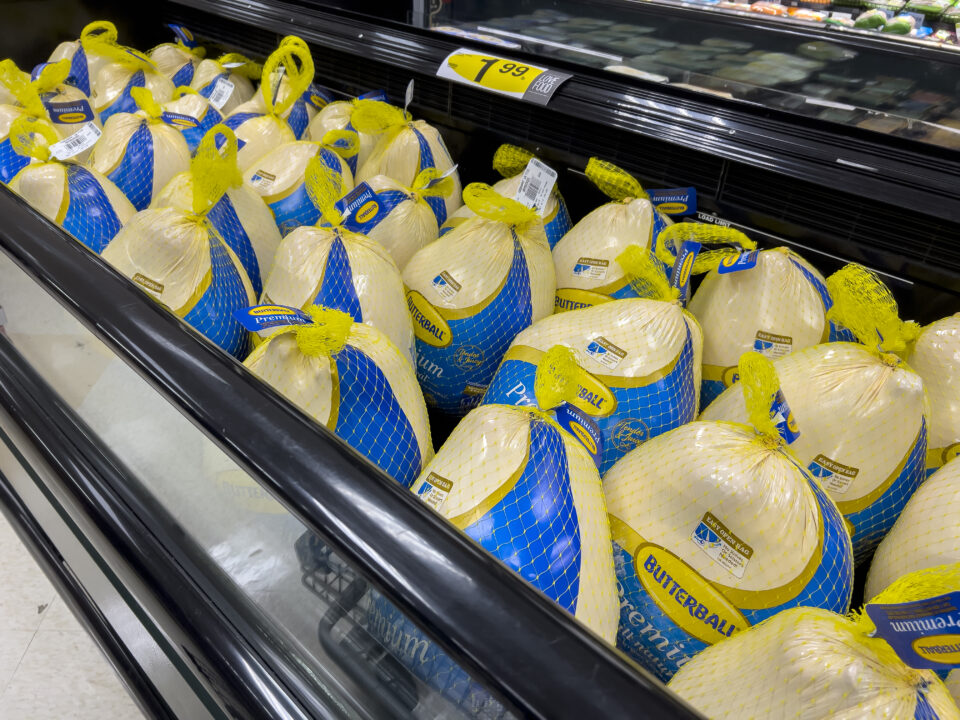 5 Differences Butterball vs JennieO Turkeys to Help You Choose