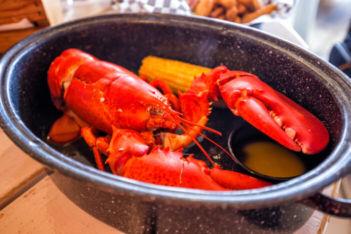 Alaska Lobster vs Maine Lobster: They Are Not What You Think 4 Maine big red lobster served on plate