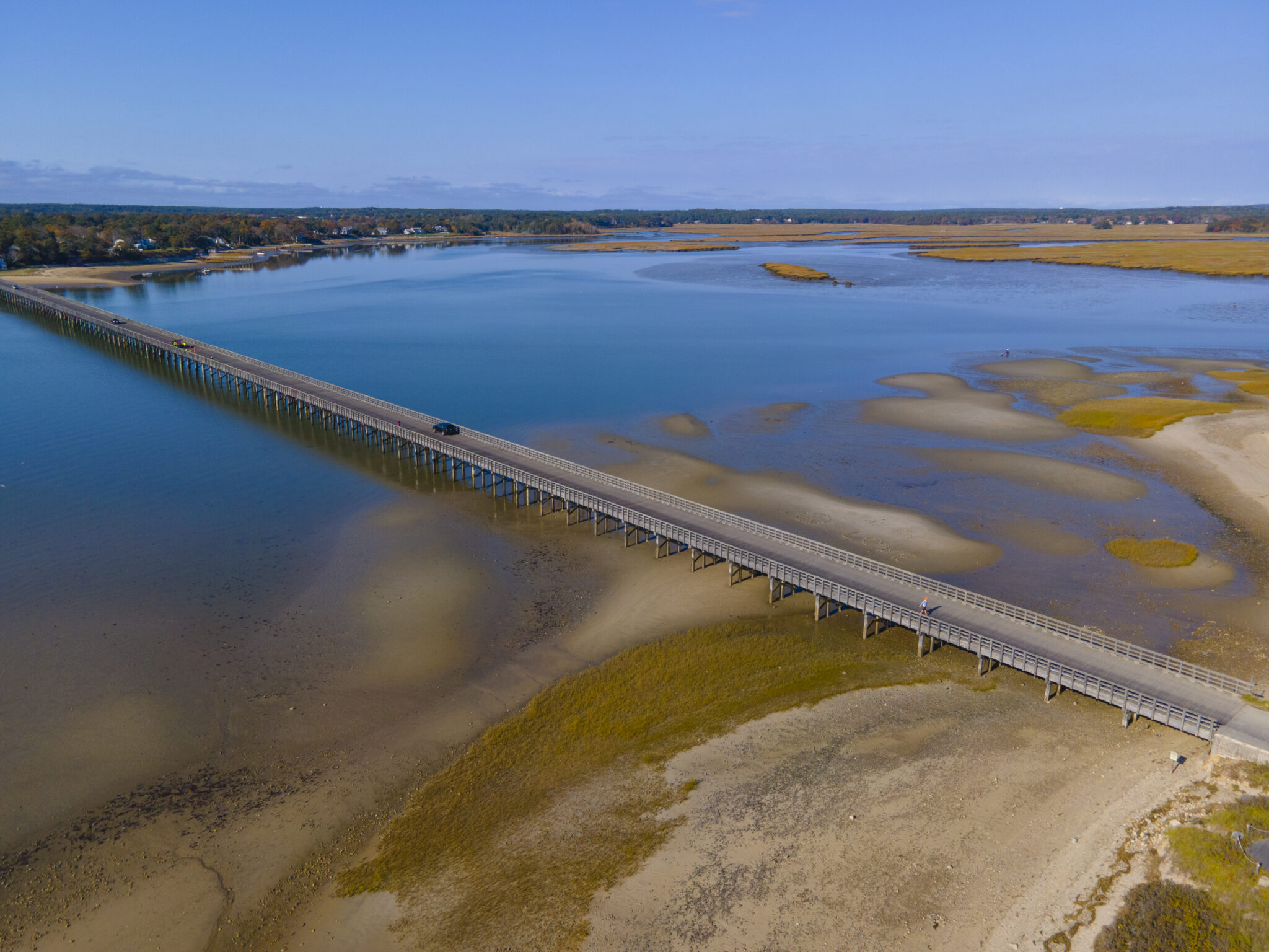 4 Essential Benefits of Duxbury Oysters Every Seafood Lover Must Know