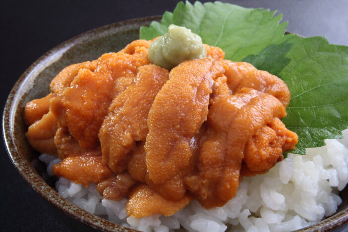 Sea urchin rice bowl with wasabi