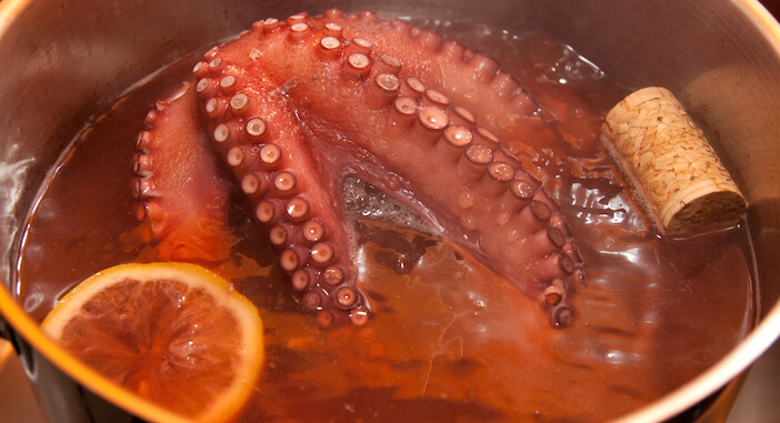 10+ Reasons Why You Should Get a Seafood Cooker Today 1 seafood cooker 10+ Reasons Why You Should Get a Seafood Cooker Today