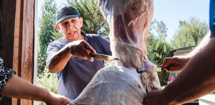 Front view indigenous latin man butchering and skinning a hanging lamb with a knife in his country house. Patagonian traditions