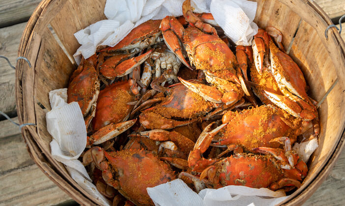 5 Best Florida Crabs: Types, Hotspots & Catching Tips