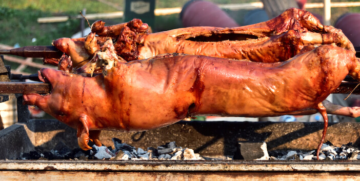 4+ Tips to Become a Whole Hog Cooker Pro!