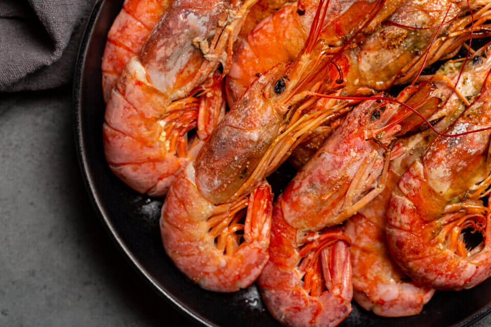 5 Argentinian Red Shrimp Facts to Elevate Your Seafood Dishes