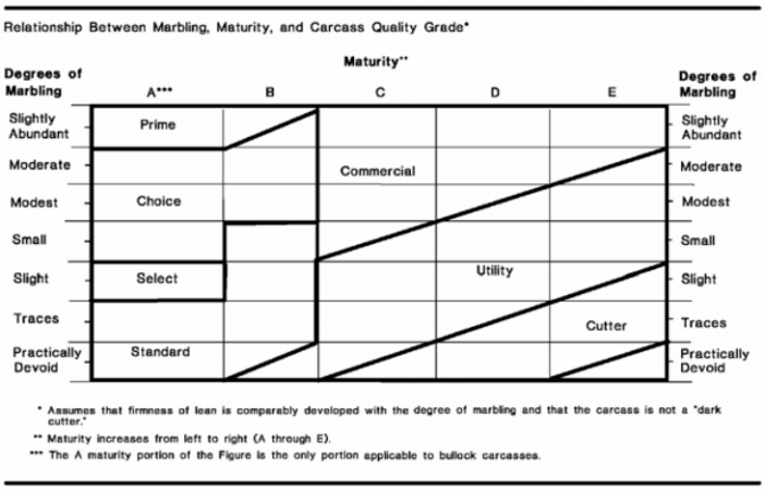 Carcass Grading Different Grades of Beef and Which One to Choose for Maximum Flavor