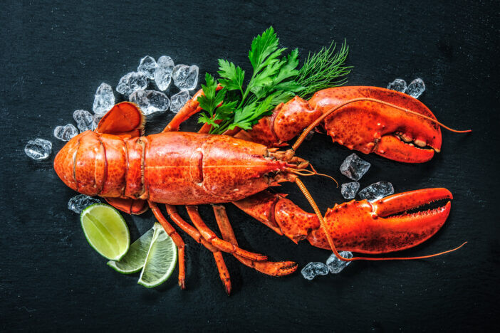 Top view of whole red lobster with ice and lime on a black slate plate