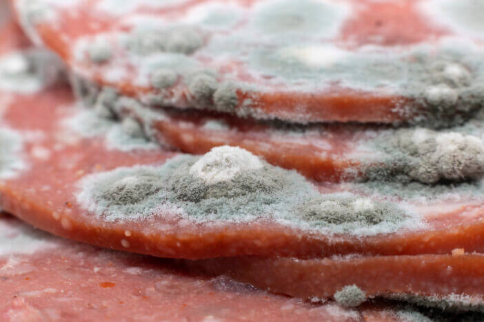 Slices of old pepperoni with mold growing in it