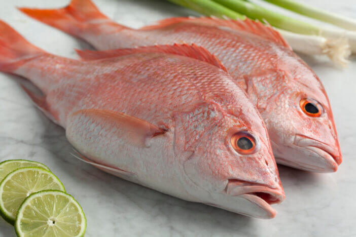 Fresh red snappers ready to cook