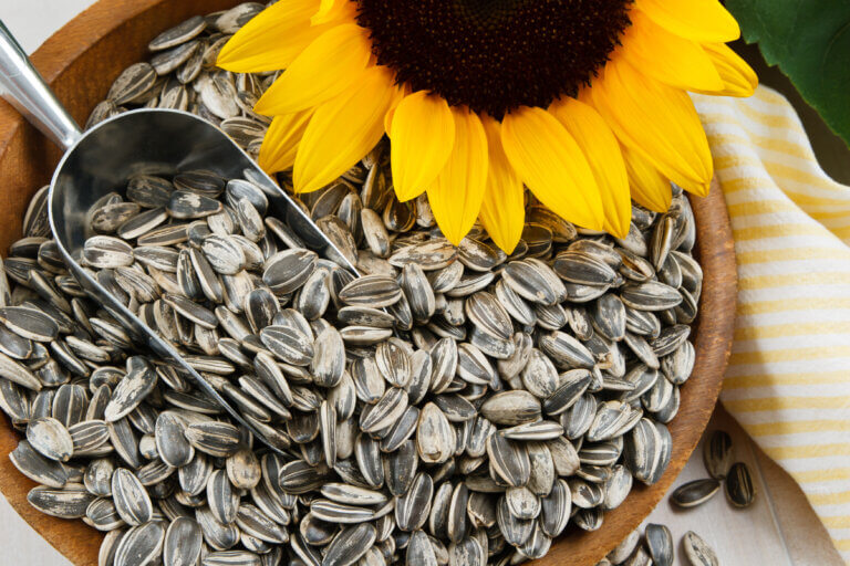 What Do Sunflower Seeds Taste Like?