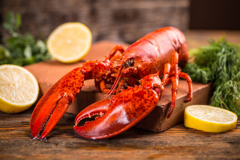 5 Reasons Maine Lobsters Are Better Than Massachusetts Lobsters