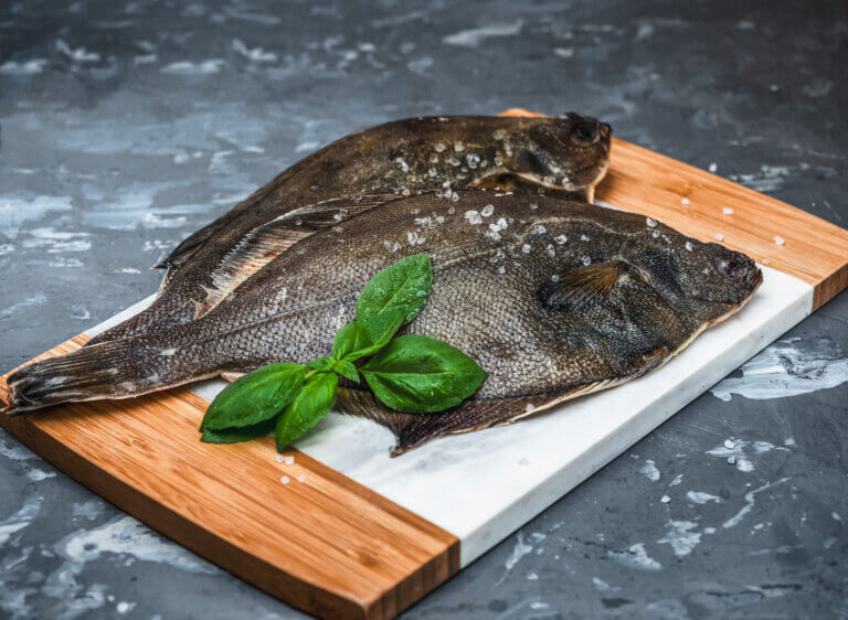 4 Key Differences Between Cod and Flounder