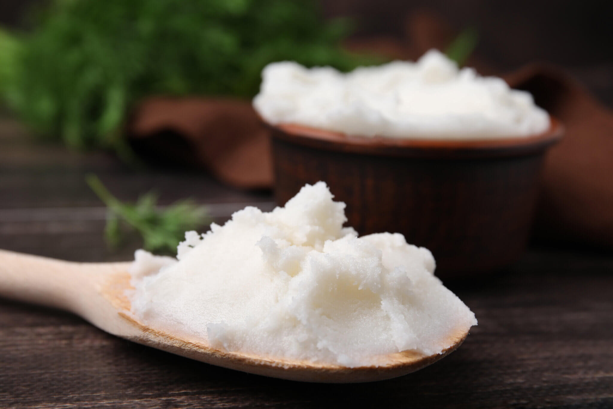 Which Is Healthier Vegetable Shortening or Lard? Key Differences for