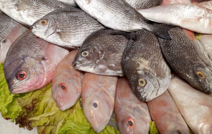 Fresh Fish Inflation 10 Reasons Rising Fish Prices Are Impacting Your Seafood Choices