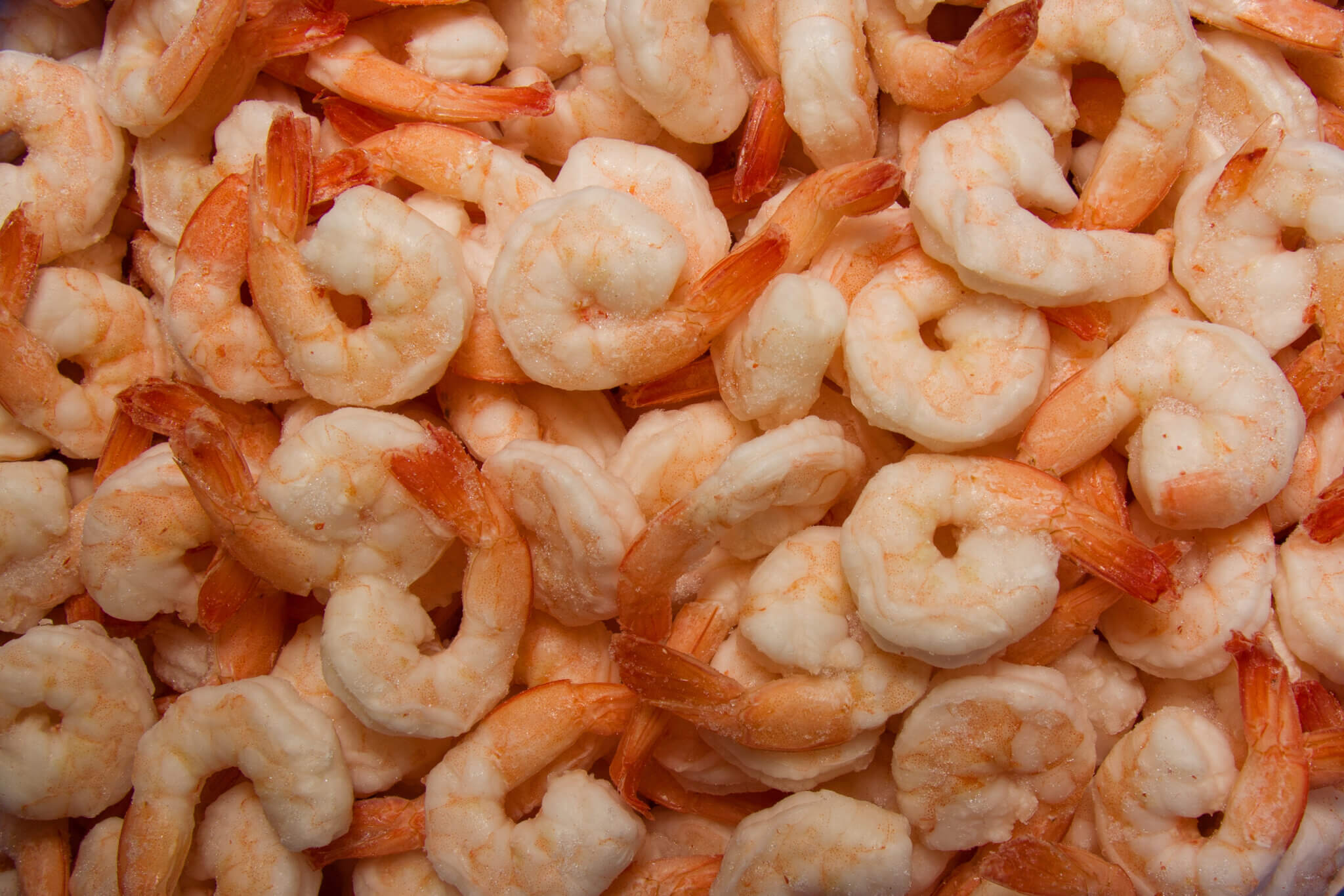 Should You Rinse Frozen Cooked Shrimp? 5 Preparation Tips for Tastier Meals