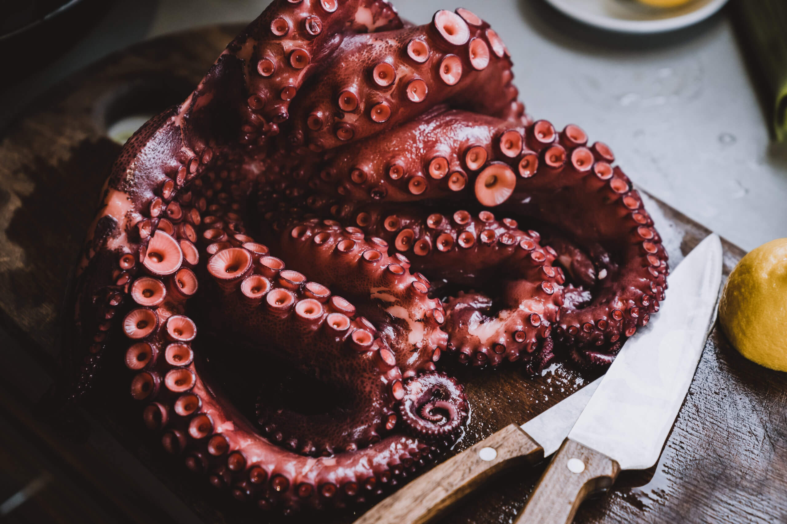 5 Surprising Octopus Flavor Profiles What Does Cooked Octopus Taste Like?