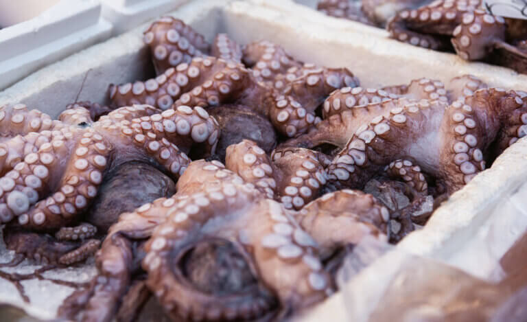 4 Surprising Things You Didn’t Know About Octopus Taste in Food
