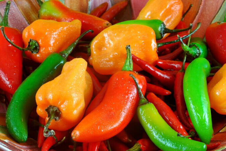 10 Spicy Reasons Pepper Boosts Any Dish’s Flavor