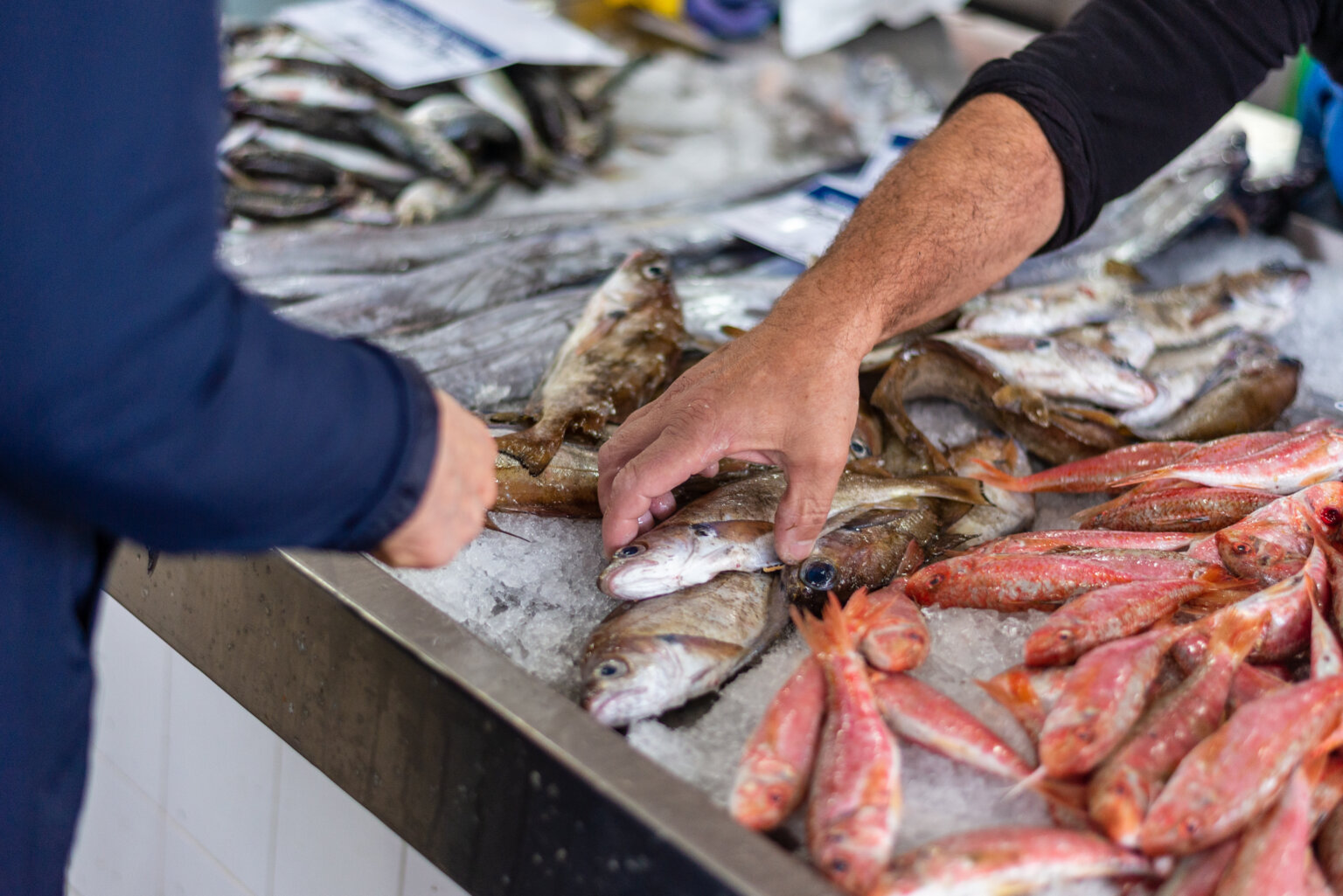 Fish Are Rising 10 Reasons Rising Fish Prices Are Impacting Your Seafood Choices