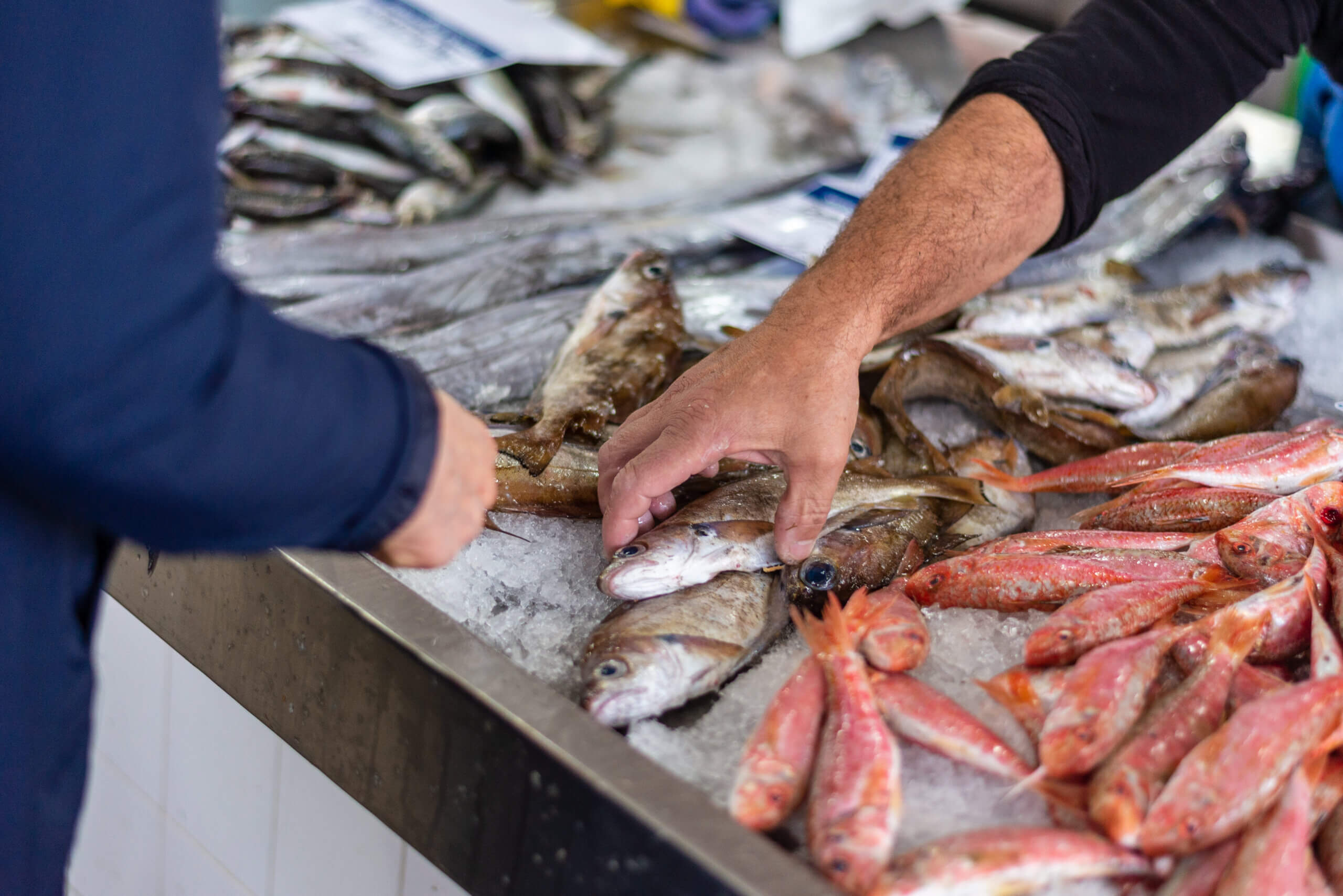 10 Reasons Rising Fish Prices Are Impacting Your Seafood Choices